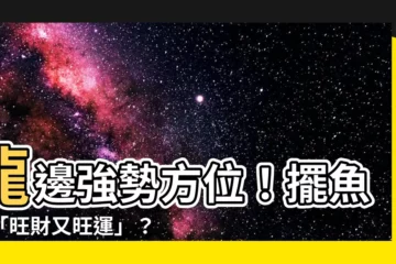 【龍邊養魚】龍邊強勢方位！擺魚缸「旺財又旺運」？