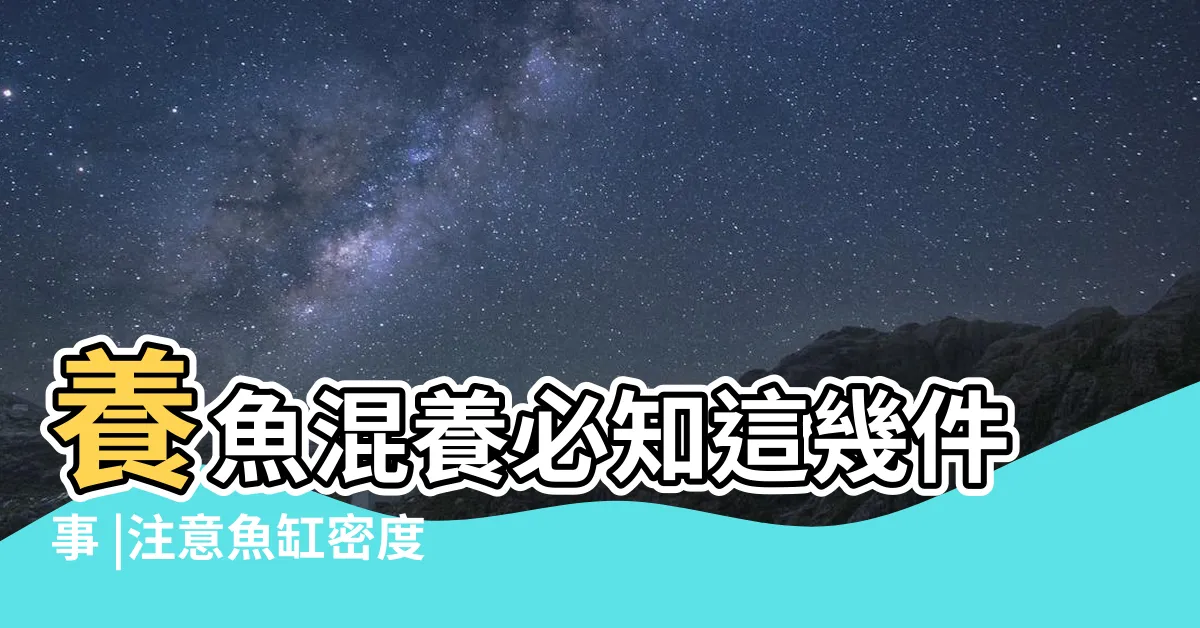 【可以混養的魚】養魚混養必知這幾件事 |注意魚缸密度 |燈魚可以跟誰養 |