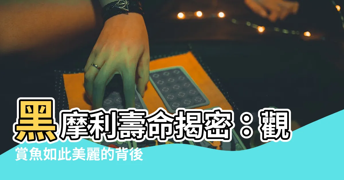 【黑摩利壽命】黑摩利壽命揭密：觀賞魚如此美麗的背後，壽命竟然這麼短！