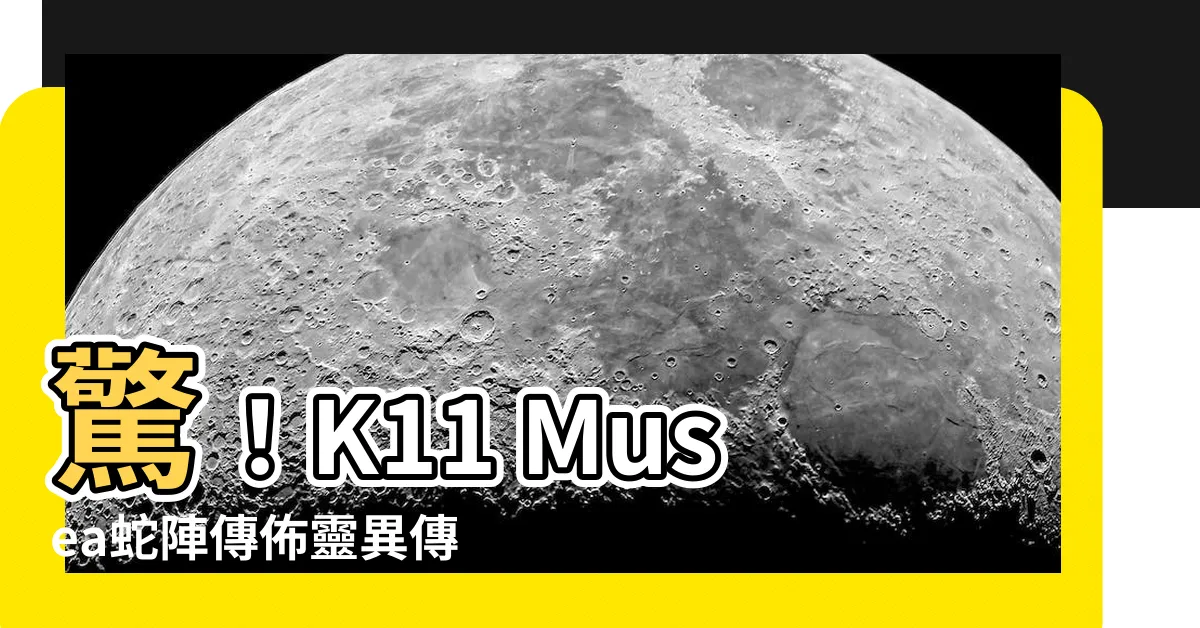 【k11 musea蛇】驚！K11 Musea蛇陣傳佈靈異傳説，遊客暈眩不斷
