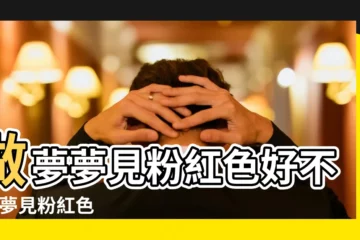 【周公解夢 粉紅】做夢夢見粉紅色好不好 |夢見粉紅色 |周公解夢夢見粉紅色 |