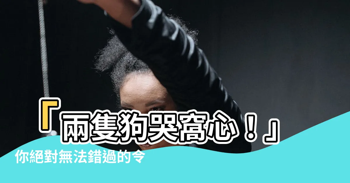 【兩隻狗 哭】「兩隻狗哭窩心！」你絕對無法錯過的令人感動故事