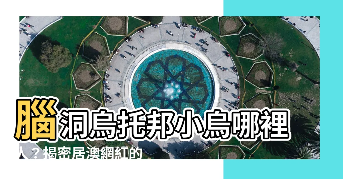 【腦洞烏託邦小烏哪裡人】腦洞烏託邦小烏哪裡人？揭密居澳網紅的真實身世！