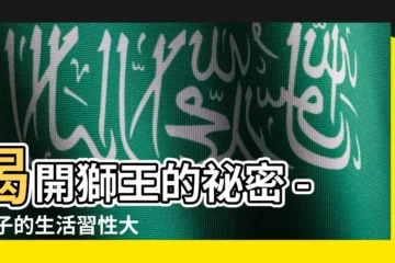 【獅子的習性】揭開獅王的秘密 - 獅子的生活習性大公開