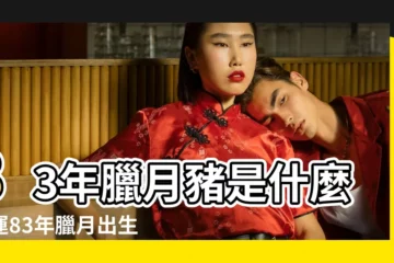 【83年的臘月屬什麼生肖】83年臘月豬是什麼命運83年臘月出生的豬命運如何 |陰曆1983年臘月二十九出生的人是什麼屬相 |1983年臘月29農曆是算什麼生肖 |