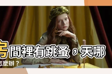 【房間有跳蚤該怎麼辦】房間裡有跳蚤，天哪！怎麼辦？
