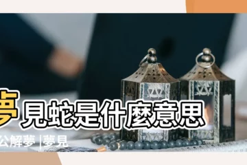 【夢到一條蛇死在水裏是什麼意思周公解夢】夢見蛇是什麼意思 |周公解夢 |夢見蛇死了是什麼意思預兆 |
