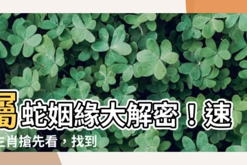 【屬蛇適合的生肖】屬蛇姻緣大解密！速配生肖搶先看，找到你的最佳伴侶