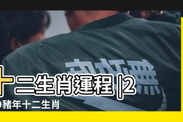 【2019年屬豬的事業運勢】十二生肖運程 |2019豬年十二生肖運程 |屬豬人2019年度運勢 |