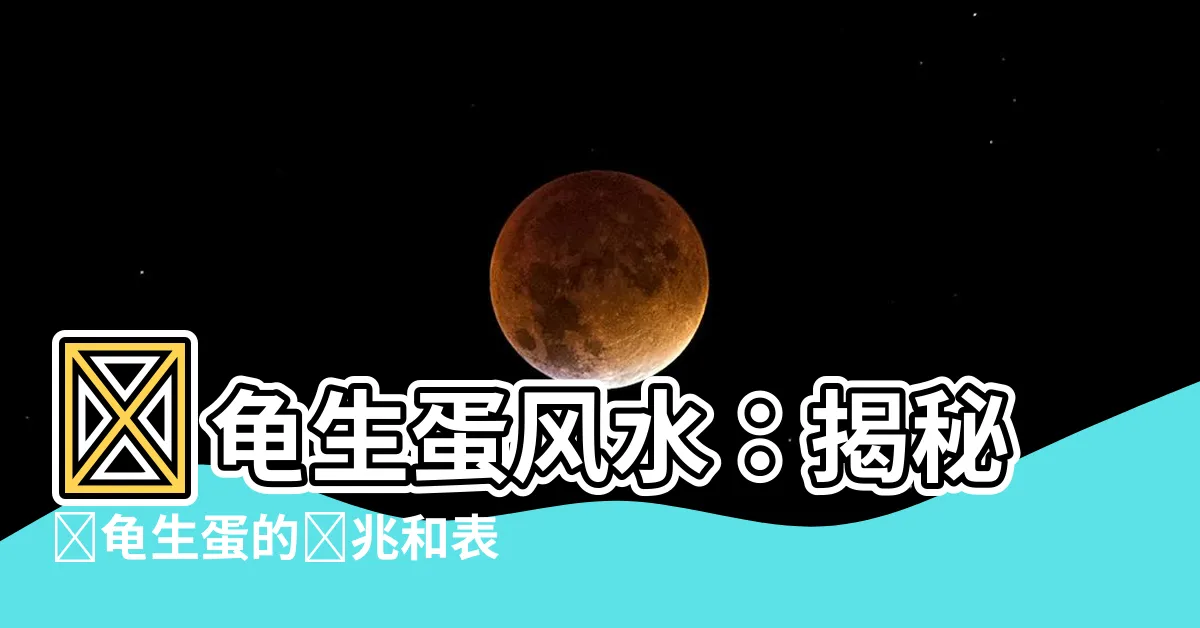 【烏龜生蛋風水】烏龜生蛋風水：揭秘烏龜生蛋的預兆和表現