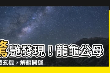 【龍龜公母】驚艷發現！龍龜公母竟藏玄機，解鎖開運方程式，助運財運