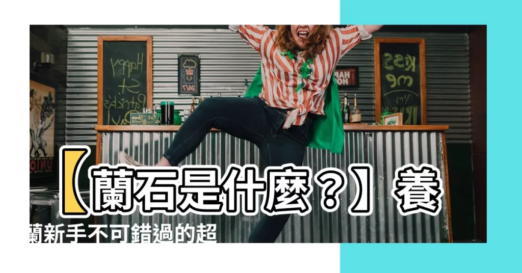 【蘭石是什麼】【蘭石是什麼？】養蘭新手不可錯過的超完整蘭石介紹！