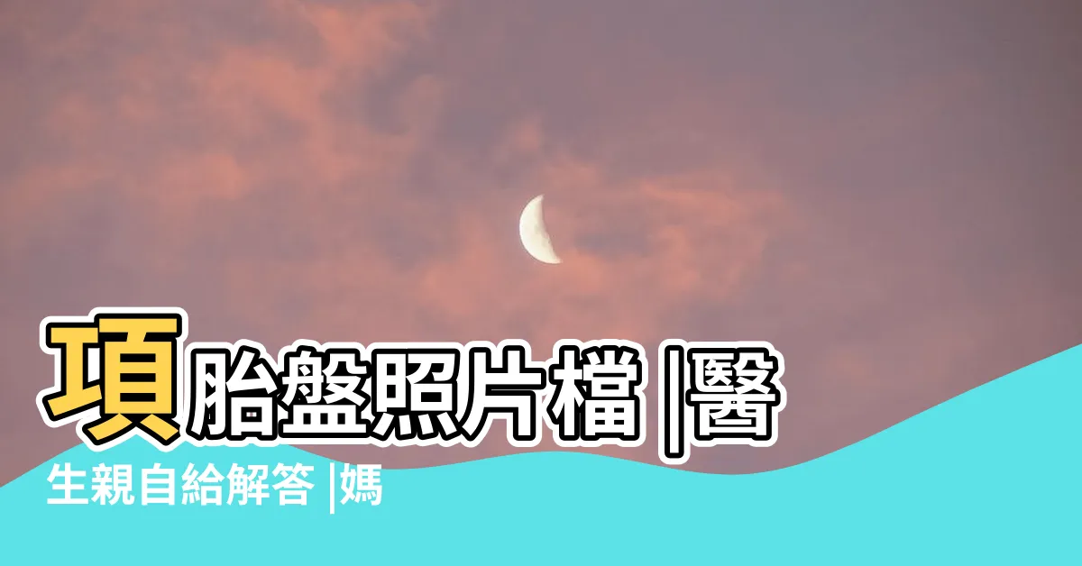 【胎盤長怎樣】項胎盤照片檔 |醫生親自給解答 |媽媽可能都沒看過 |