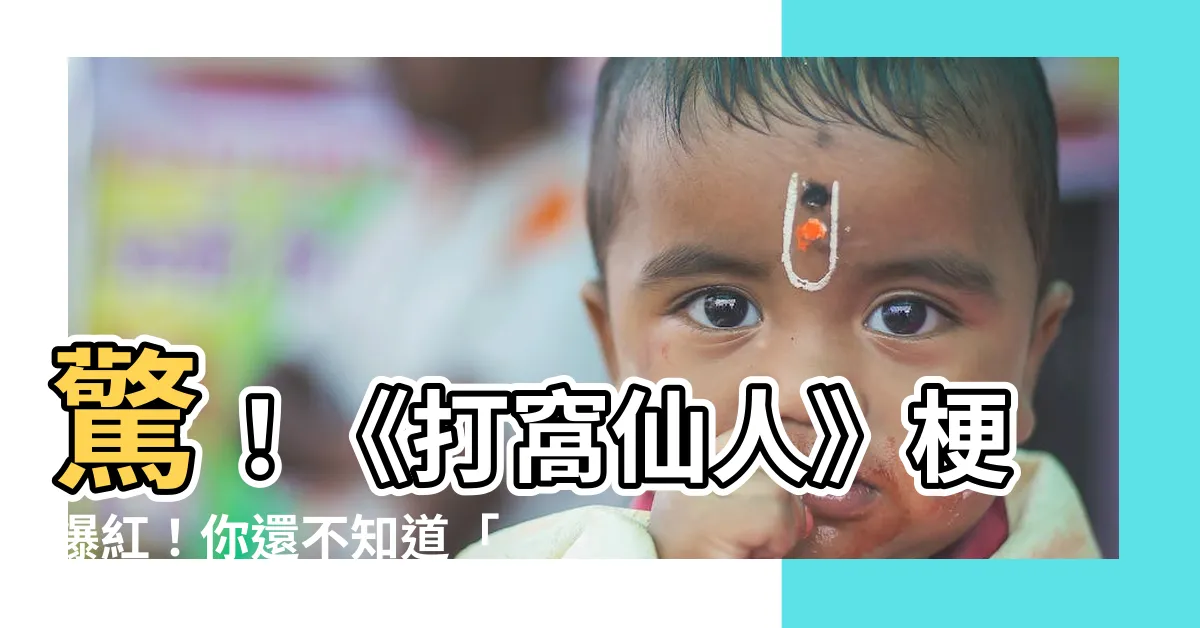 【打窩仙人】驚！《打窩仙人》梗爆紅！你還不知道「打窩」的驚人內幕？