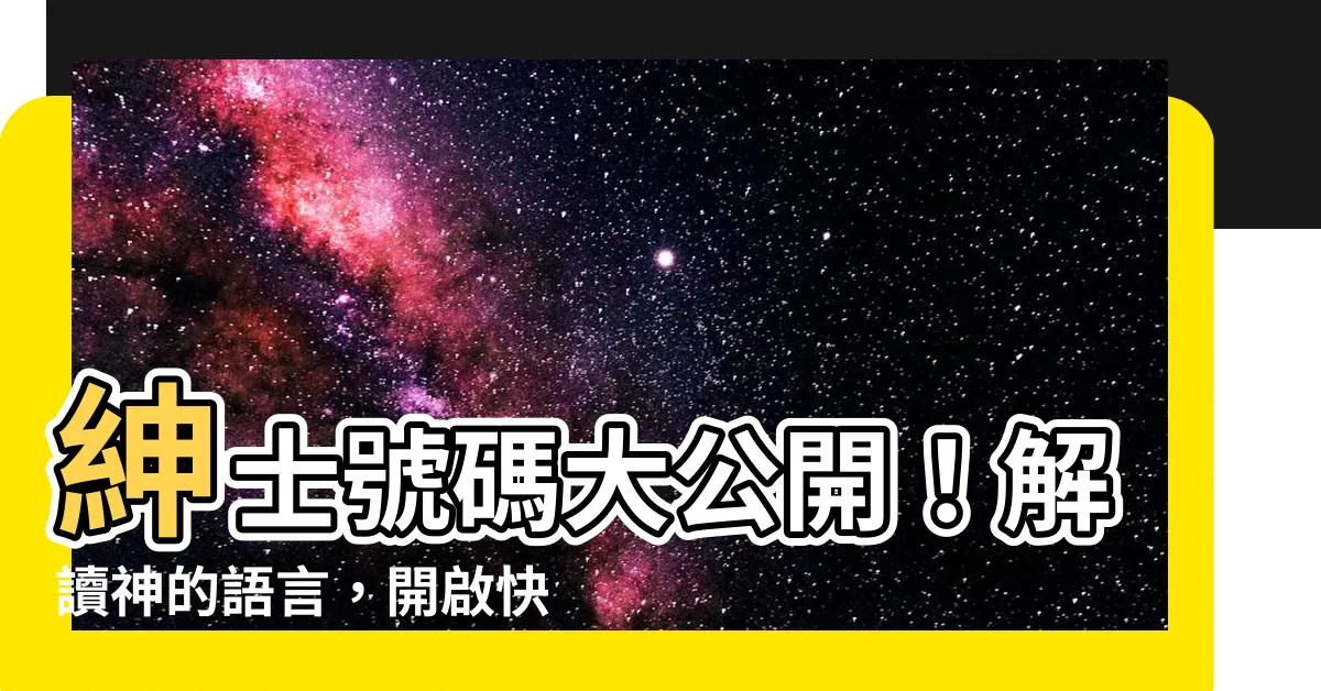 【紳士號碼】紳士號碼大公開！解讀神的語言，開啟快樂之門