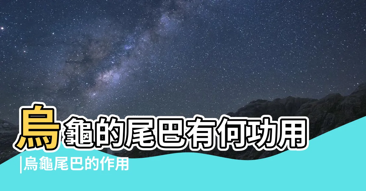 【烏龜尾巴功能】烏龜的尾巴有何功用 |烏龜尾巴的作用是什麼 |烏龜的尾巴 |