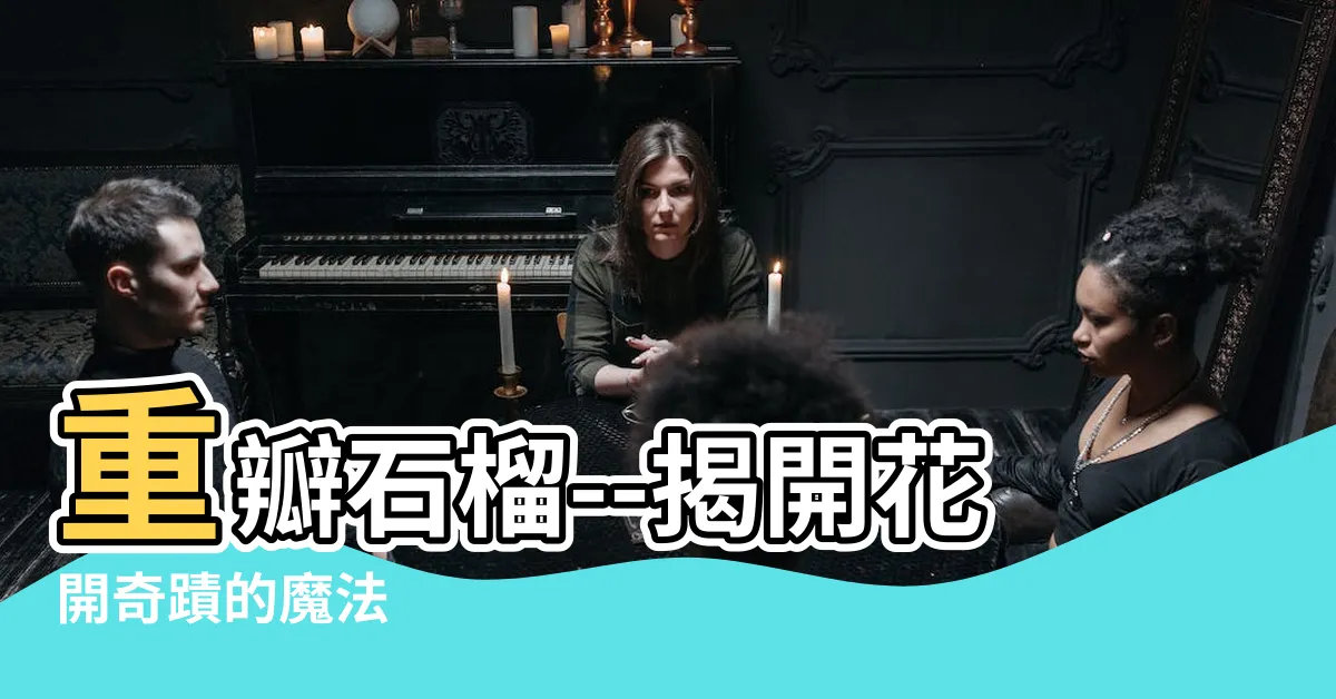 【重瓣石榴】重瓣石榴--揭開花開奇蹟的魔法