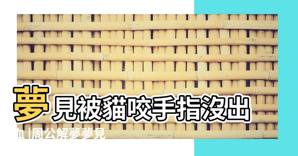 夢見被貓咬手指沒出血 |周公解夢夢見被貓咬 |做夢夢見被貓咬是什麼意思 |【夜晚做夢夢到被貓咬手指了】