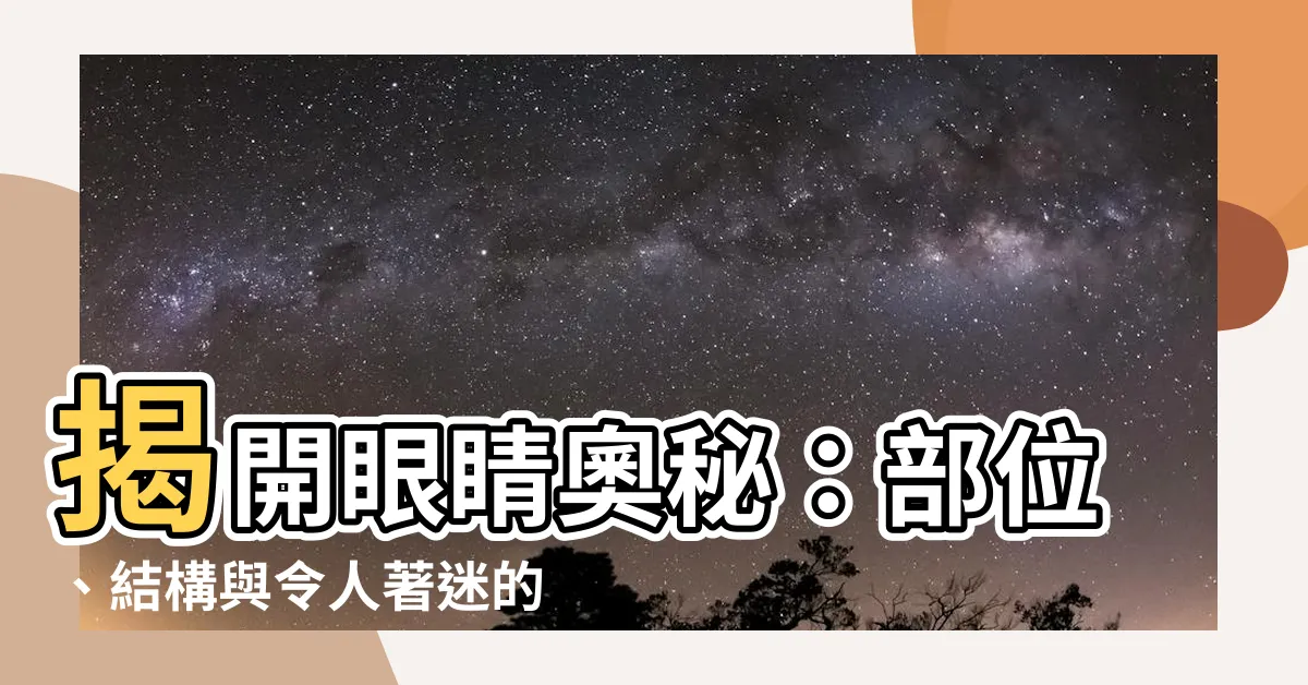 【眼睛 部位】揭開眼睛奧秘：部位、結構與令人著迷的功能