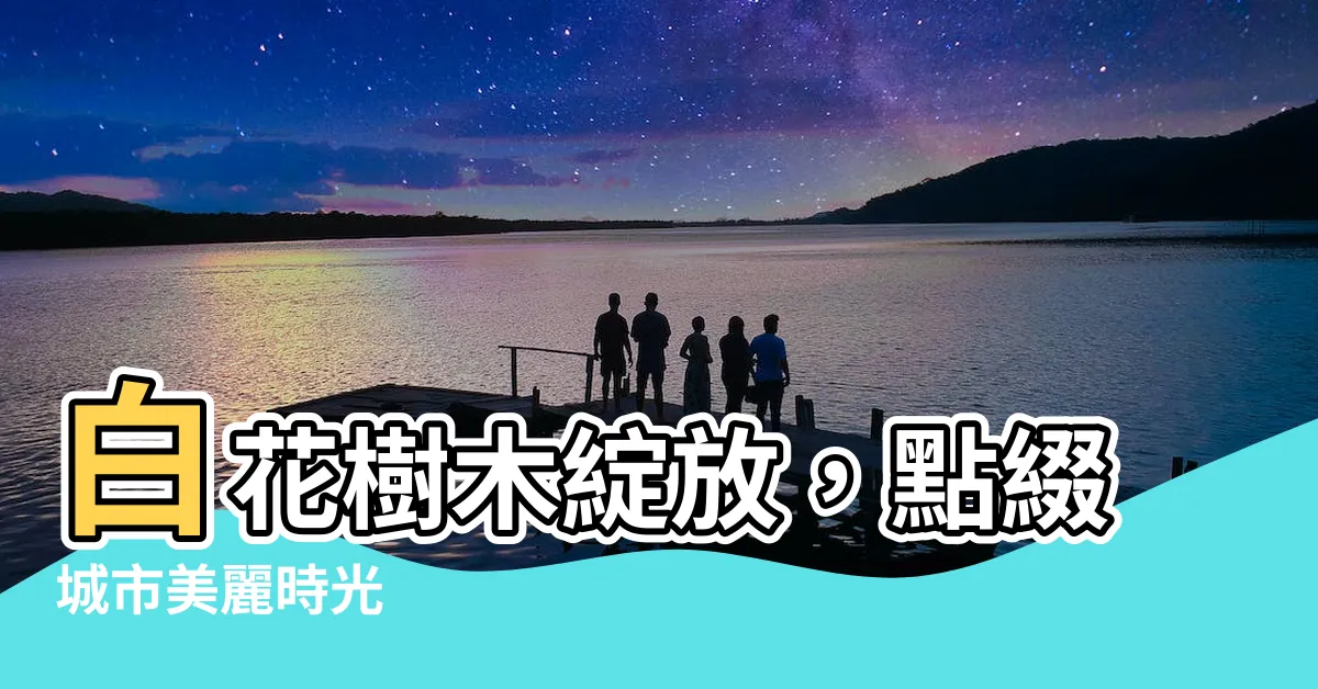【白花樹木】白花樹木綻放，點綴城市美麗時光