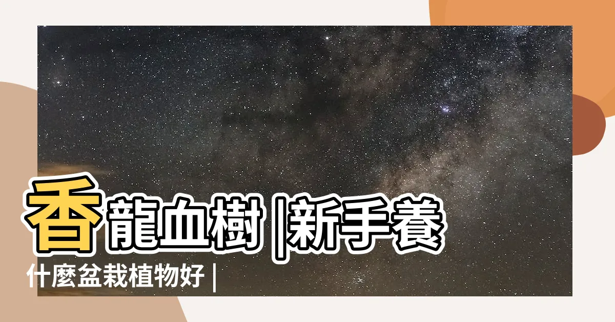 【巴西木】香龍血樹 |新手養什麼盆栽植物好 |巴西木隨便一扔就能活 |