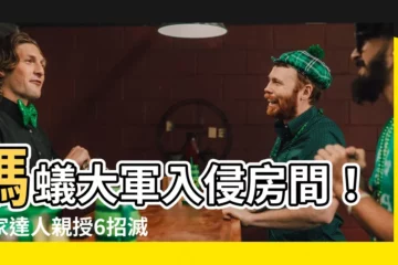 【螞蟻入侵房間】螞蟻大軍入侵房間！居家達人親授6招滅蟻妙計，輕鬆告別螞蟻大患