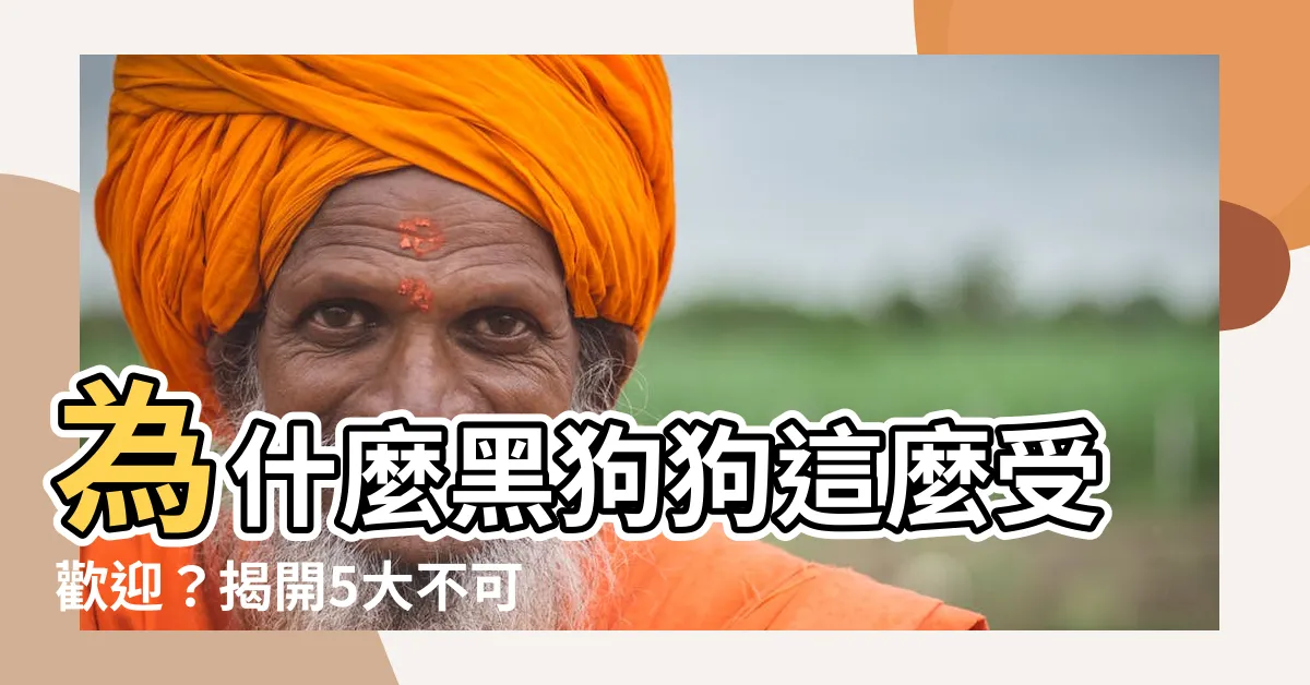 【黑狗狗】為什麼黑狗狗這麼受歡迎？揭開5大不可錯過的好處！