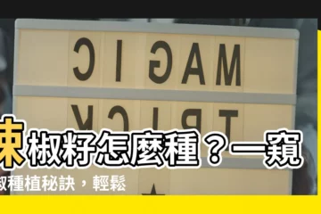 【辣椒籽怎麼種】辣椒籽怎麼種？一窺辣椒種植秘訣，輕鬆收穫美味辣椒