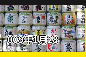 【2009年1月28日出生的人】2009年1月28日生日看命運 |是什麼命 |2009年1月28日出生的人命好嗎 |