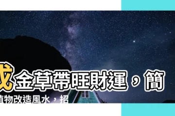 【成金草 風水】成金草帶旺財運，簡單植物改造風水，招財擋煞一次搞定！