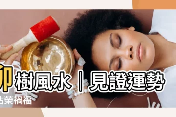 【柳樹風水】柳樹風水｜見證運勢的枯榮禍福