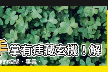 【手掌有痣】手掌有痣藏玄機！解讀你的姻緣、事業、財運人生路