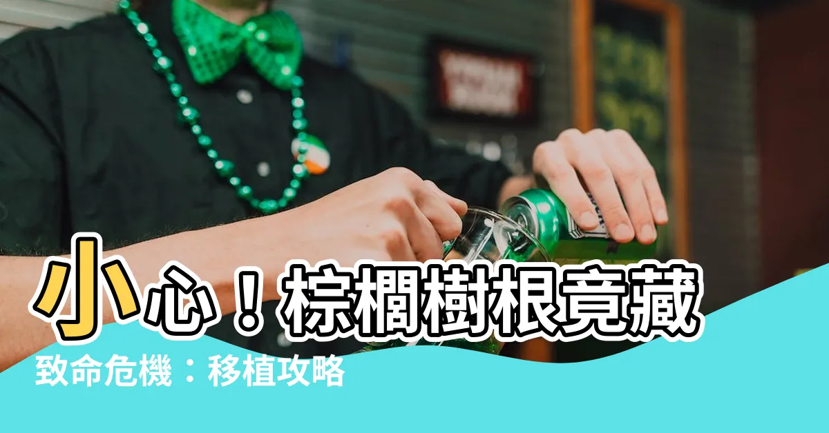 【棕櫚樹根】小心！棕櫚樹根竟藏致命危機：移植攻略大公開