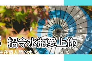 【情人節出生的水瓶男】8招令水瓶愛上你 |出生在情人節的水瓶座水瓶男真正動心了的六大表現 |剖析水瓶座2022 |