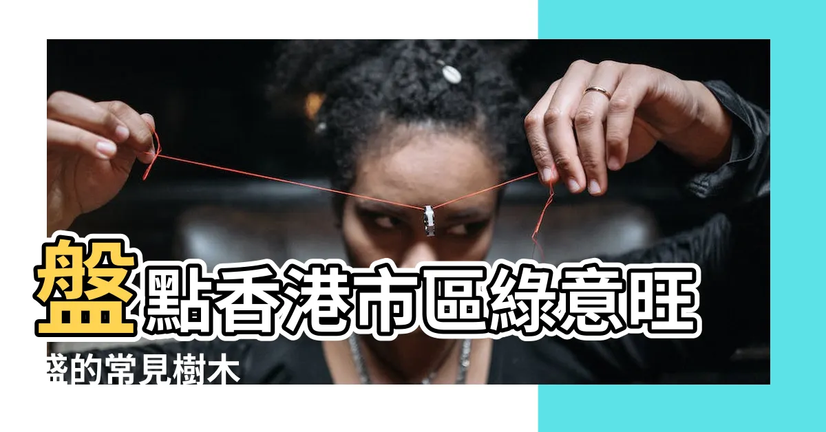 【常見的樹】盤點香港市區綠意旺盛的常見樹木
