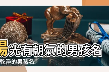 【陽光帥氣的意思的字】陽光有朝氣的男孩名字 |乾淨的男孩名字 |50個温暖 |