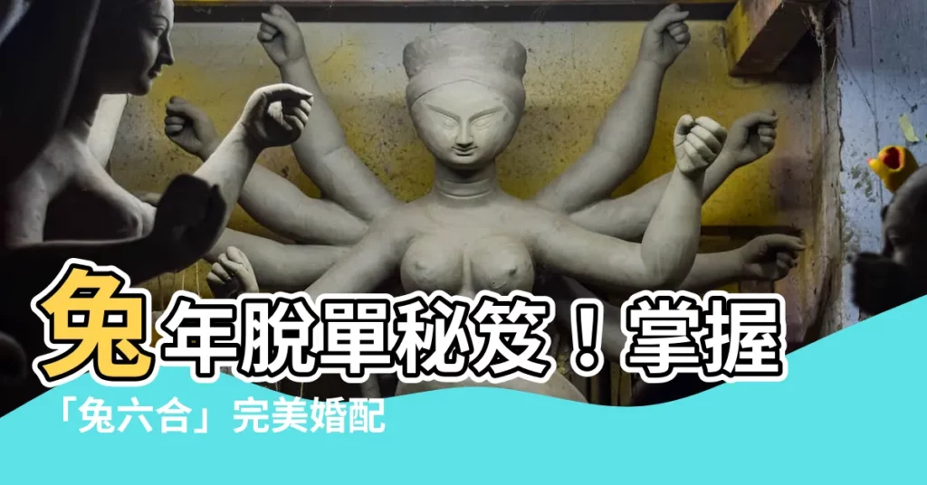【兔六合】兔年脱單秘笈！掌握「兔六合」完美婚配