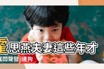 【泰迪犬起名字 例如嗯哼】霍思燕夫妻這些年才是真悶聲發 |連狗狗躺的沙發都不止6萬 |剛滿月泰迪該怎麼養 |