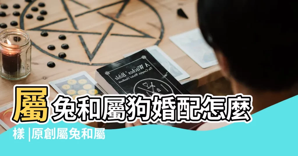 屬兔和屬狗婚配怎麼樣 |原創屬兔和屬狗的合不合屬兔和屬狗的合婚嗎 |屬兔的和屬狗的合不合 |【屬狗與屬免合適嗎】