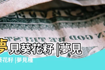 【夢見別人拿葵花籽給我吃】夢見葵花籽 |夢見吃葵花籽 |夢見種葵花籽 |