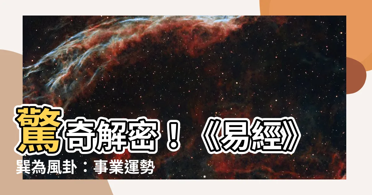 【巽為風事業】驚奇解密！《易經》巽為風卦：事業運勢大公開