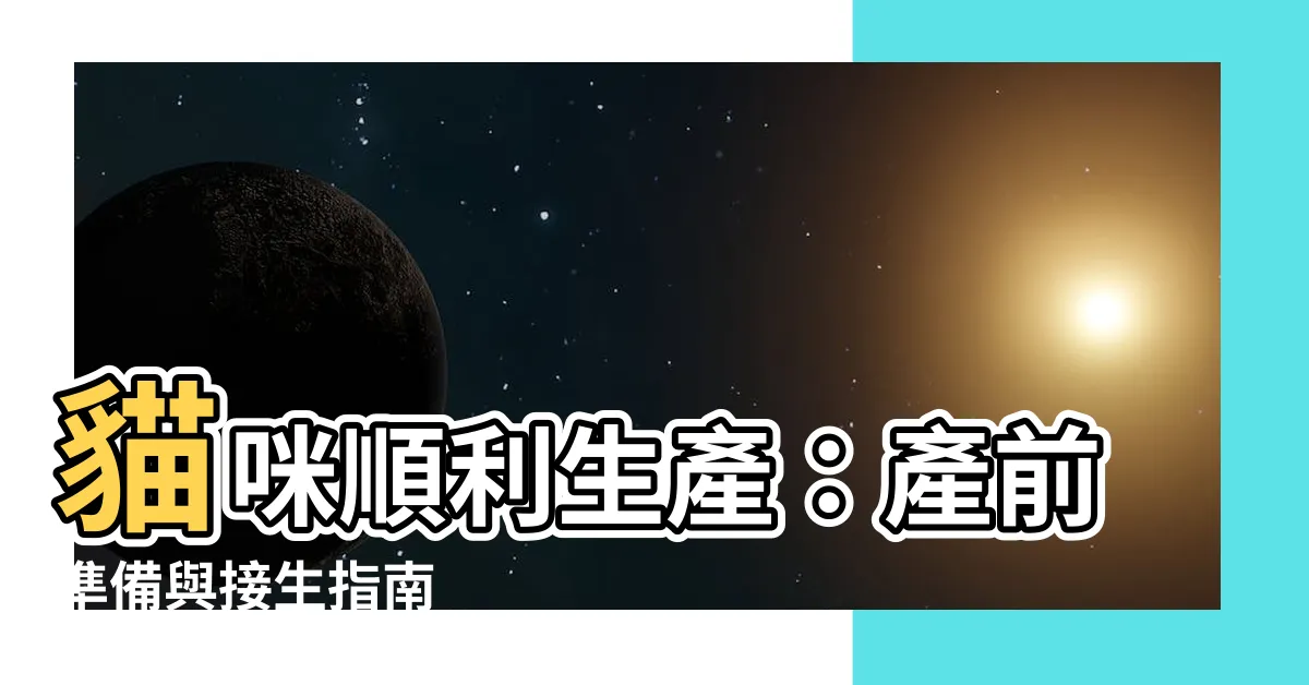 【貓生小貓】貓咪順利生產：產前準備與接生指南