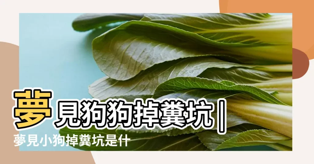 夢見狗狗掉糞坑 |夢見小狗掉糞坑是什麼意思 |夢見狗掉進糞坑裡 |【夢見小狗掉進糞坑】