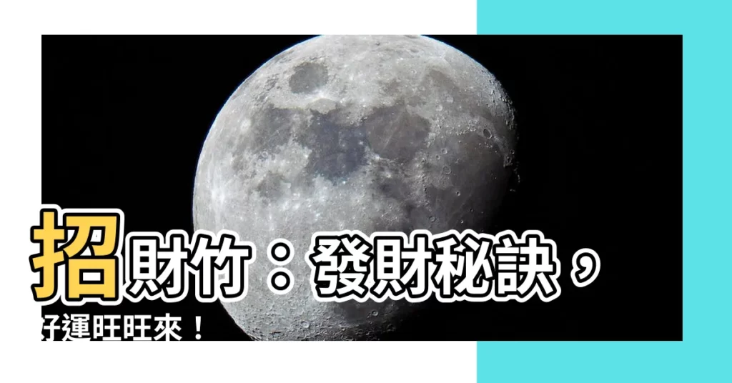 【招財竹】招財竹：發財秘訣，好運旺旺來！