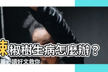 【辣椒樹生病】辣椒樹生病怎麼辦？這3篇必讀好文救你一命！