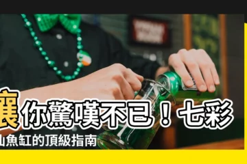 【七彩神仙魚缸】讓你驚嘆不已！七彩神仙魚缸的頂級指南