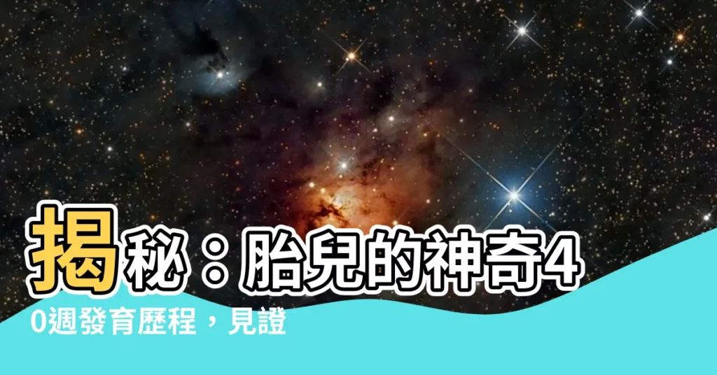 【胎兒】揭秘：胎兒的神奇40週發育歷程，見證小生命的驚人轉變！