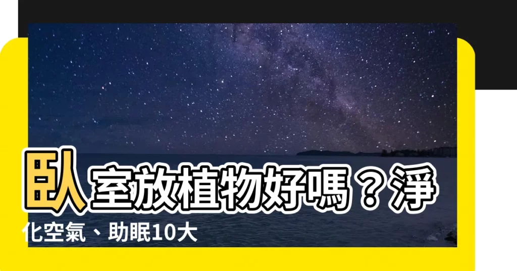 【卧室可以放植物嗎】卧室放植物好嗎？淨化空氣、助眠10大好選擇！掌握擺放風水禁忌