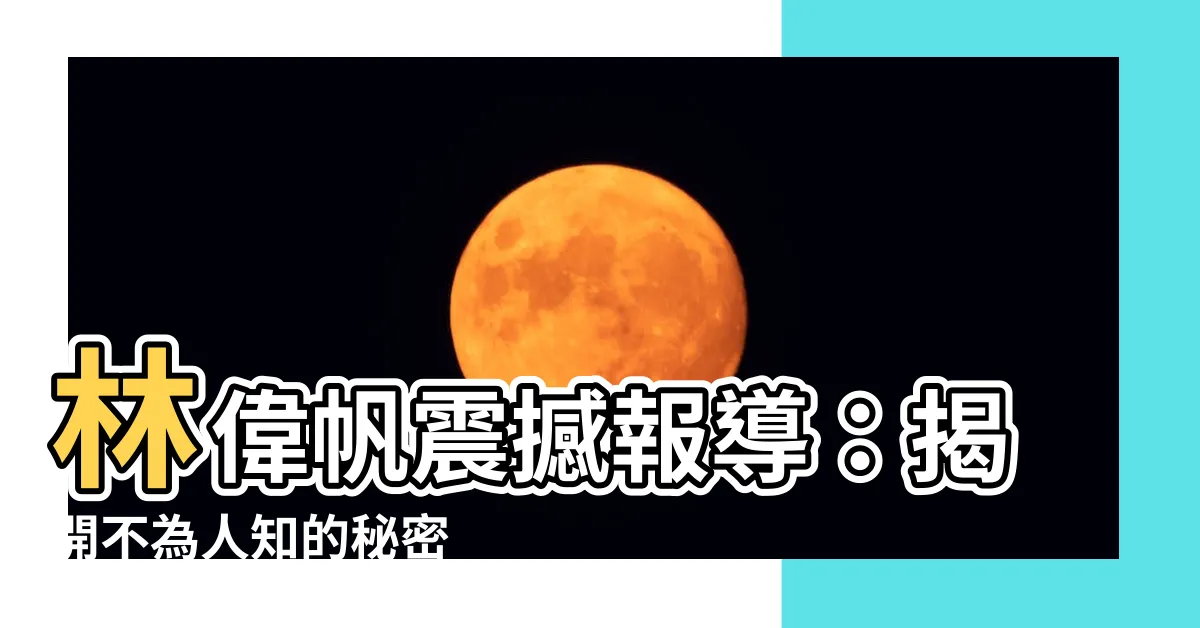 【林偉帆報導】林偉帆震撼報導：揭開不為人知的秘密