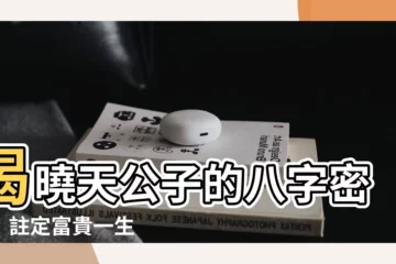 【天公子的八字命格】揭曉天公子的八字密碼！註定富貴一生